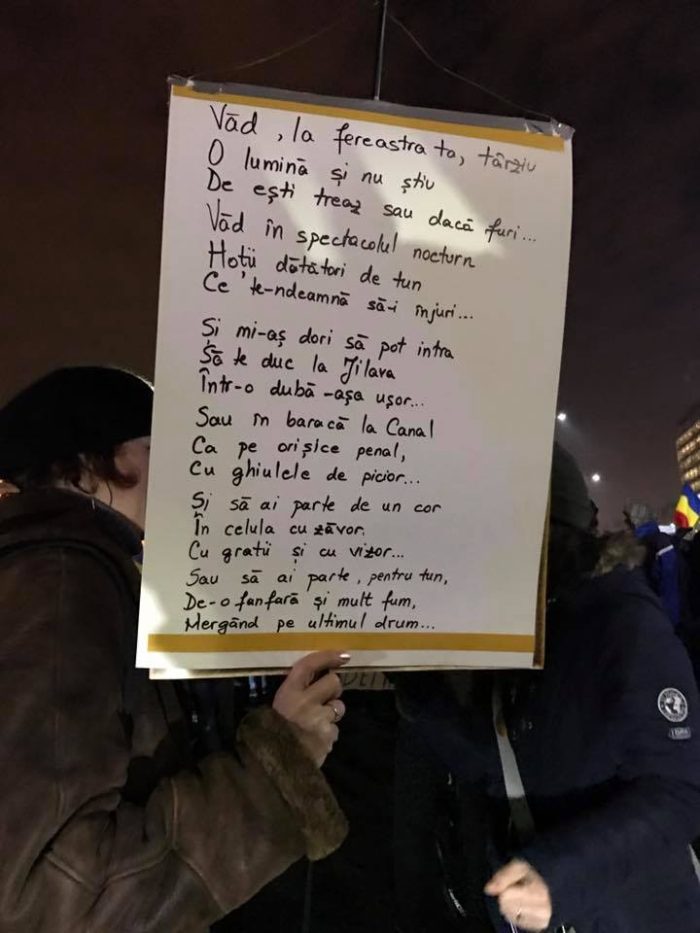 16830997_10155153938309701_5843023951190314872_n