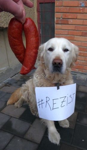 16864532_1355070974514443_8721281488749250733_n