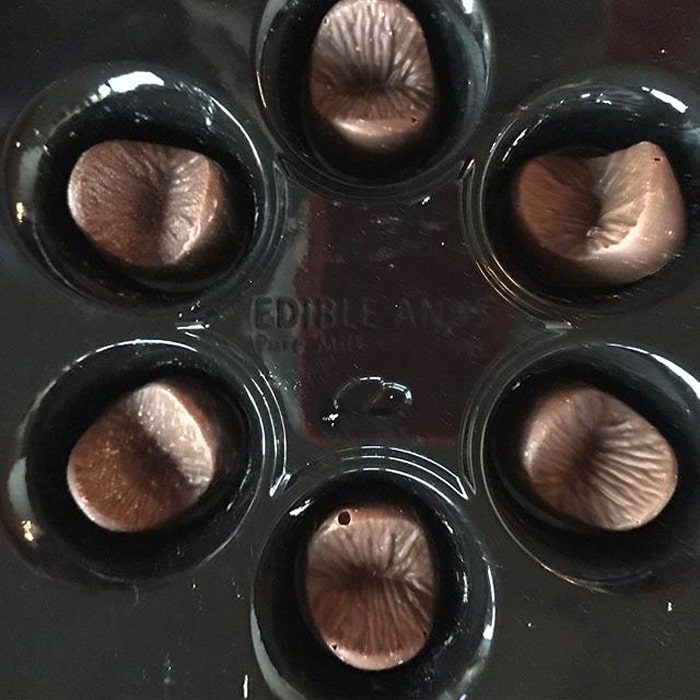 AceastÄ imagine are atributul alt gol; numele fiÈierului este aaa-cioco-min-700x700.jpg